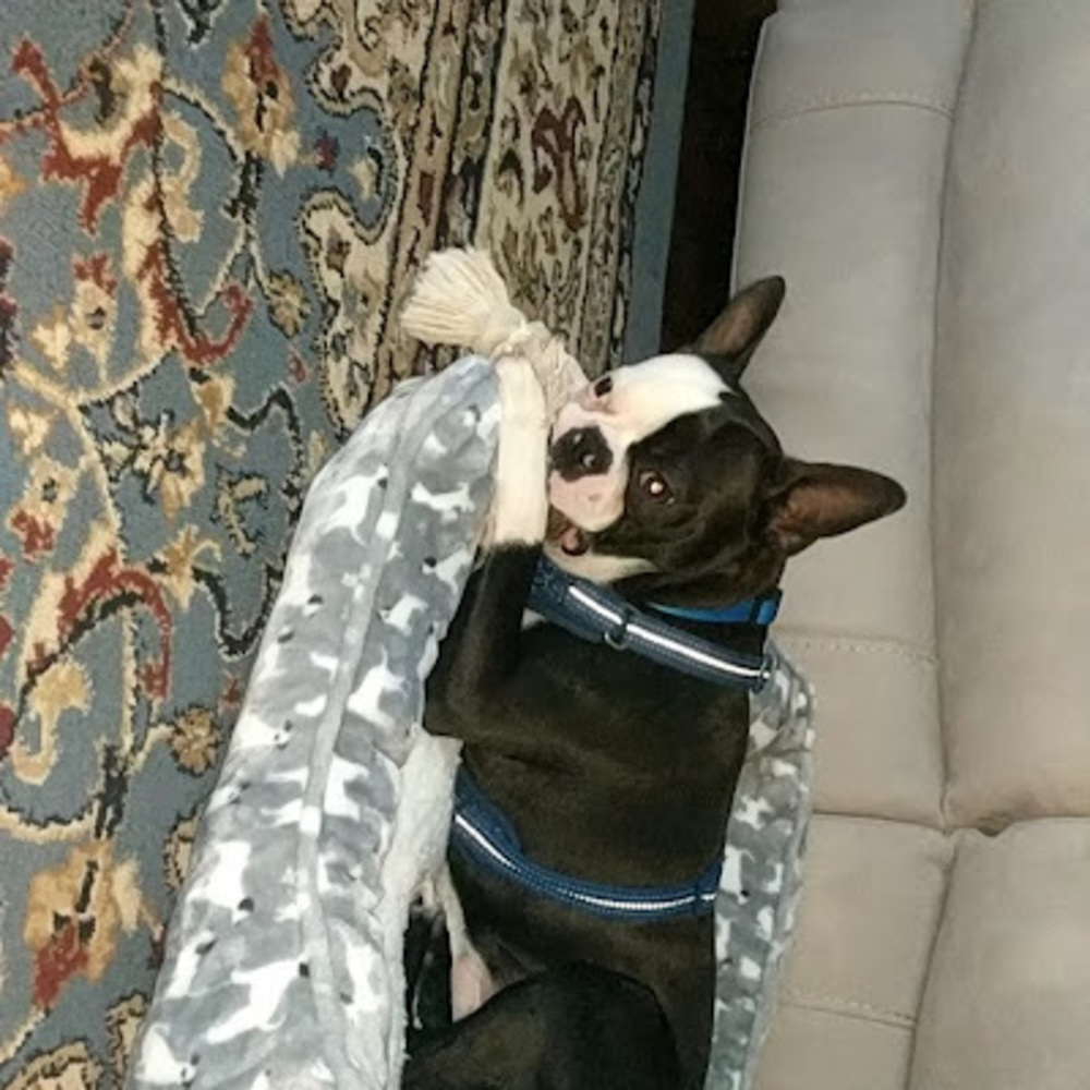 Meet your Posher, Kseniia